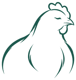 Illustration : poules